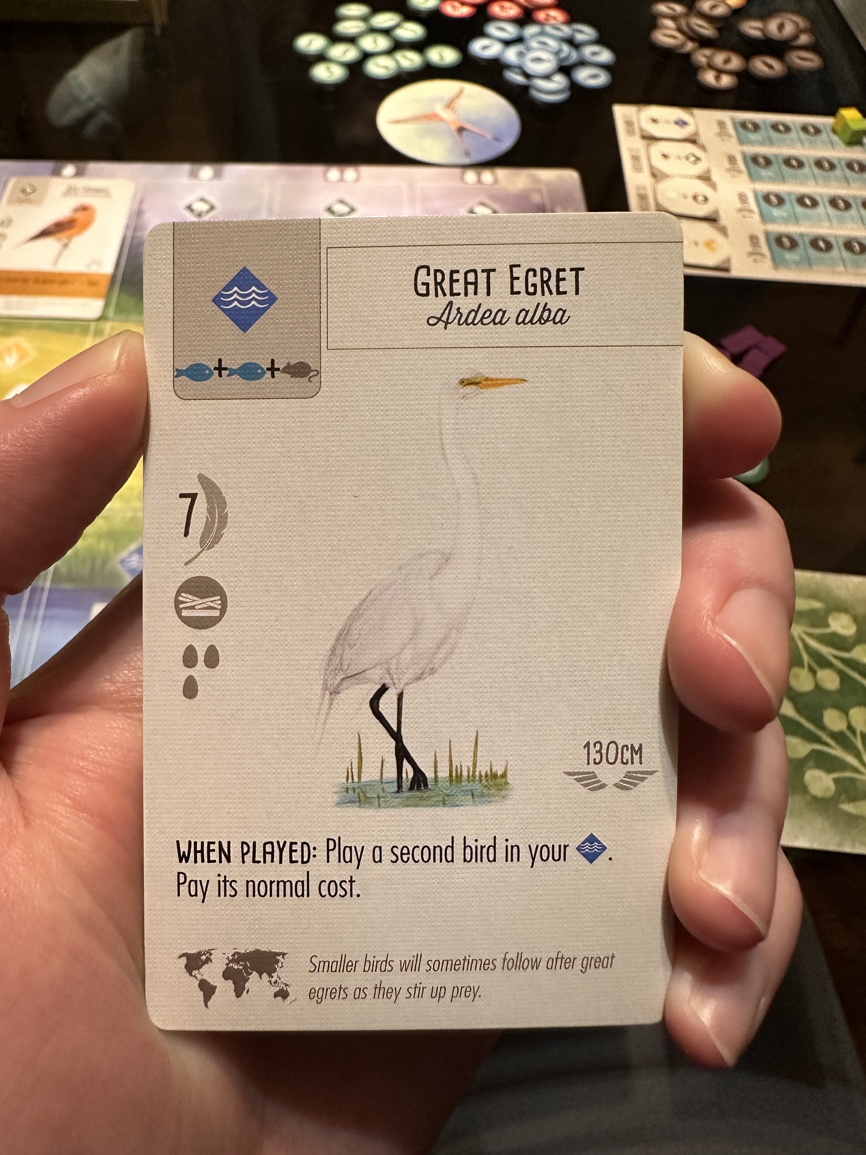 A picture of the "Great Egret" card from Wingspan.